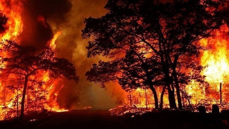 حريق غابات في شمال