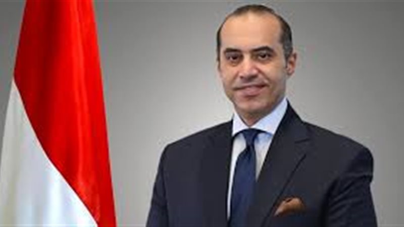 المستشار محمود فوزي