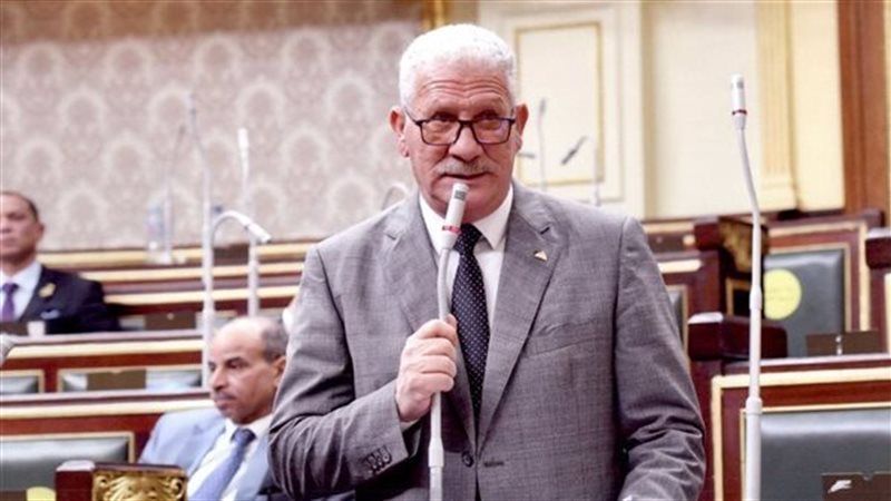 النائب توحيد تامر،