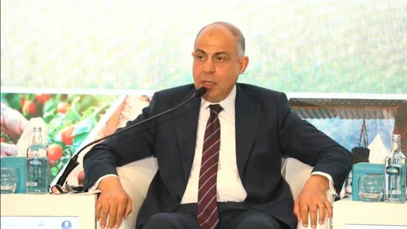 محافظ المنيا