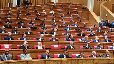 فوز الجزار والوحش بمنصب وكيلي مجلس النواب 