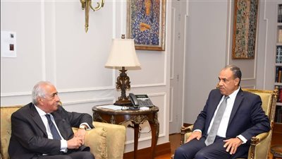 وزير الخارجية يستقبل مسئولي غرفة التجارة الأمريكية في القاهرة