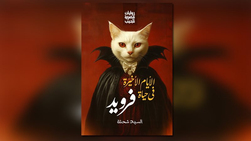 غلاف الرواية 