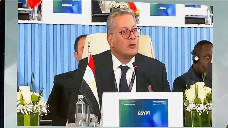 المهندس كريم بدوي