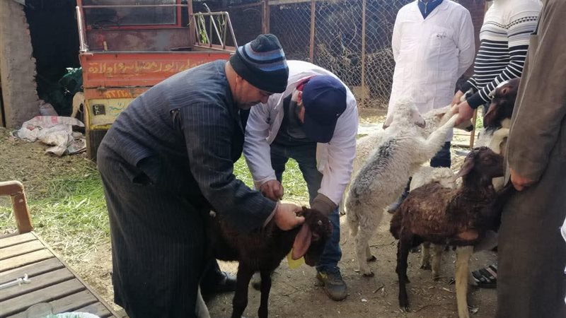 جانب من حملات تحصين