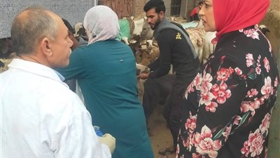 قافلة بيطرية تعالج  2919 طائرا وماشية في الغربية
