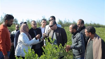 رئيس هيئة تنمية الصعيد يتابع عملية حصاد محصول الجوجوبا