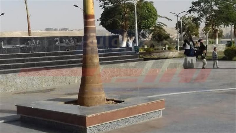 الكورنيش يتنزين بالنخيل