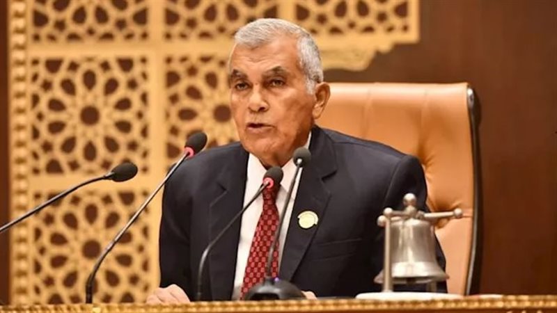 المستشار عصام فريد