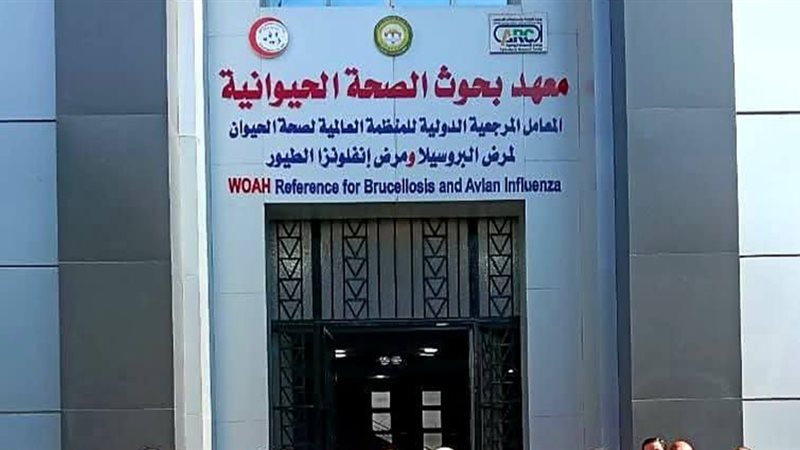 معهد بحوث الصحة الحيوانية