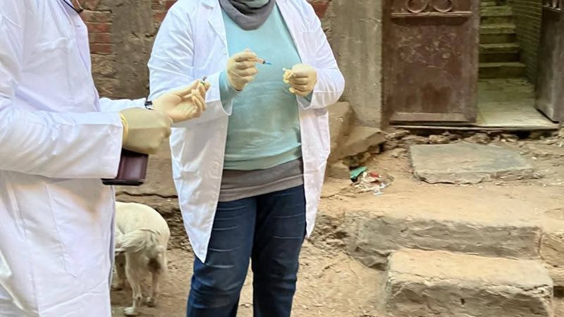 تحصين الكلاب الحرة