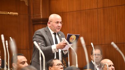  الشيوخ يناقش اقتراح النائب إبراهيم عيسى بالطعن على قانون الضريبة على العقارات