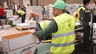 بالصور.. تجهيز 35 ألف كرتونة مواد غذائية للأولى بالرعاية في الغربية