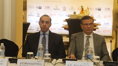 وزيرا الزراعة والشئون النيابية يناقشان تعزيز التعاونيات المصرية والألمانية 