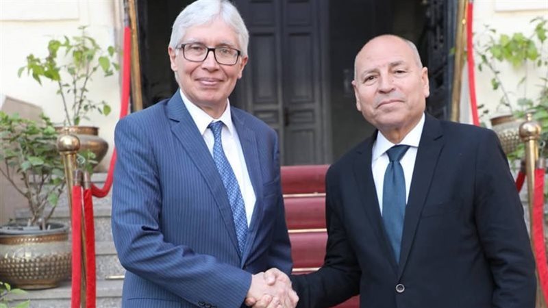 محافظ القاهرة يلتقى