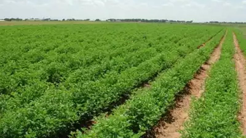 معمل تحليل متبقيات