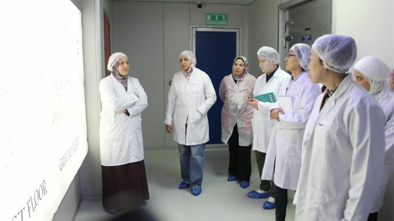 جولة فاكسيرا