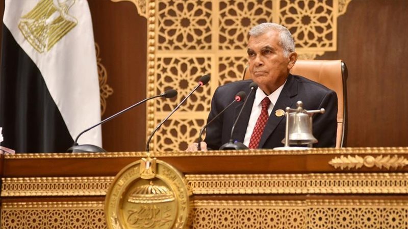 المستشار عصام فريد