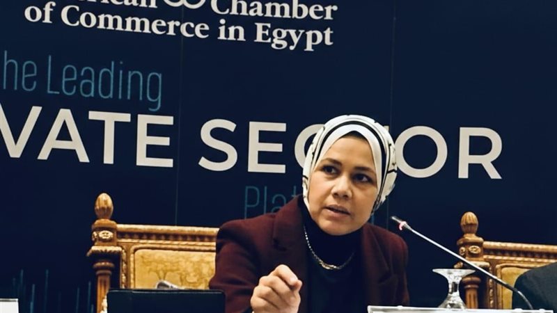 رئيس مصلحة الضرائب