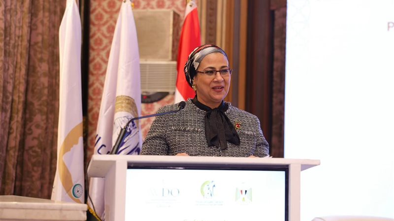 المستشارة أمل عمار