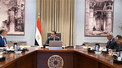 رئيس الوزراء يتابع مع وزير البترول عددًا من ملفات العمل