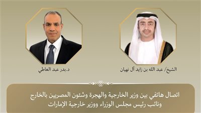 وزيرا خارجية مصر والإمارات يناقشان مستجدات الوضع في غزة والسودان