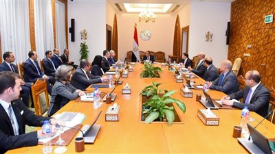 وزير الخارجية يؤكد أولوية الدائرة الإفريقية في السياسة الخارجية المصرية