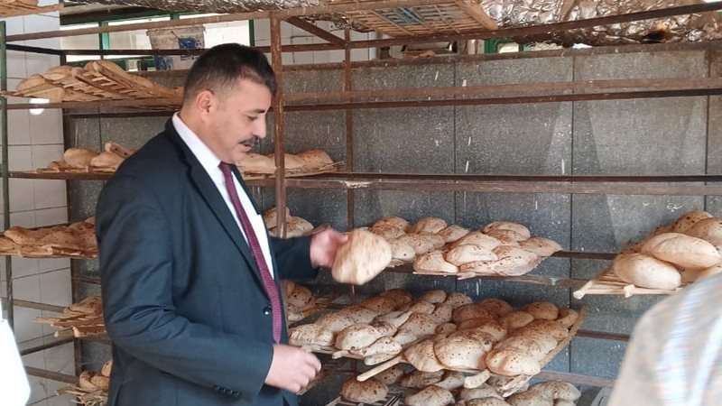 جانب من الحملات