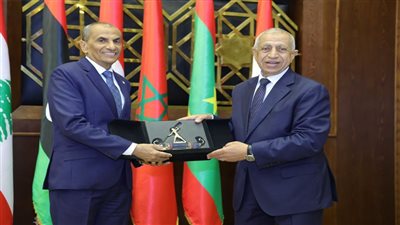 رئيس الأكاديمية العربية يبحث مع وزير التعليم الجيبوتي سبل تعزيز التعاون العلمي