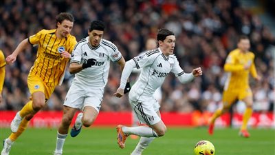 فولهام يتخطى برايتون في الدوري الإنجليزي