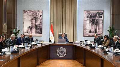 رئيس الوزراء يتابع الموقف التنفيذي للمشروعات في قطاع الطاقة