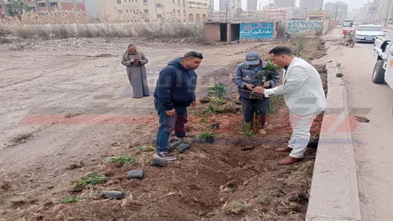 زراعة الأشجار 