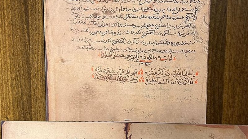 المخطوطة الطبية النادرة