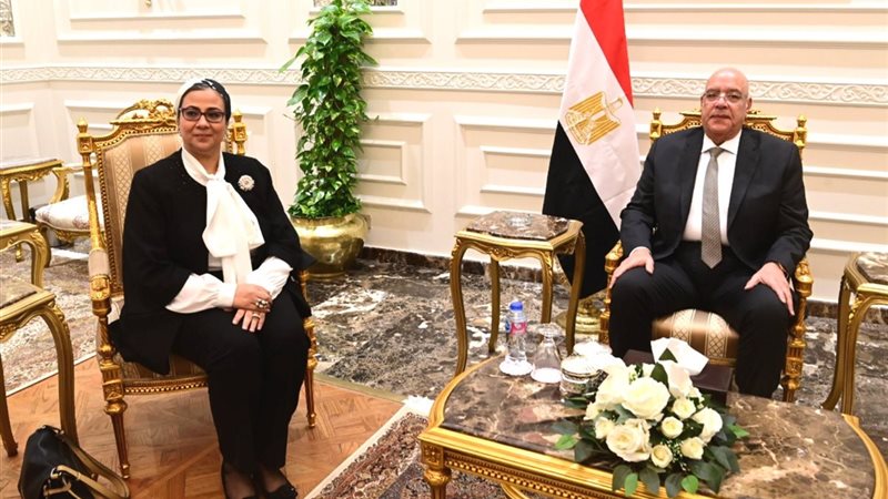 المستشار هشام بدوي