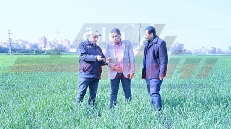 متابعة الزرعات الشتوية