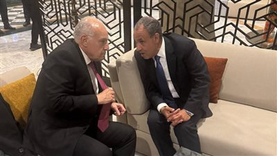 وزيرا خارجية مصر والجزائر يبحثان تطورات الأوضاع الإقليمية