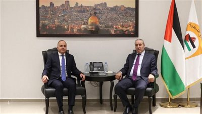 تفاصيل لقاء سفير مصر في رام الله مع نائب الرئيس الفلسطيني