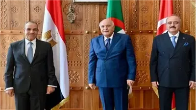 وزراء خارجية مصر وتونس والجزائر يعقدون اجتماعًا ثلاثيًا ويصدرون بيانًا مشتركًا