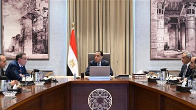 رئيس الوزراء يلتقي رئيس الجهاز المركزي لمتابعة تطوير الإصلاح الإداري المستدام