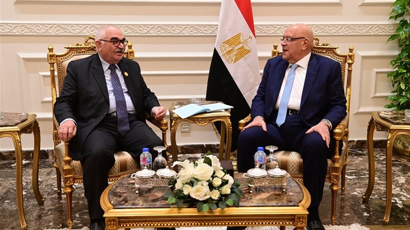 المستشار هشام بدوي