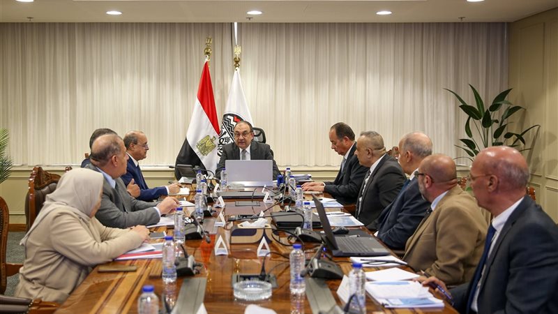 وزير قطاع الأعمال