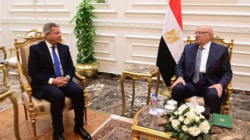 المستشار هشام بدوي