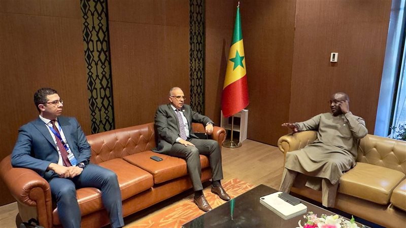 لقاء وزير الري ونظيره