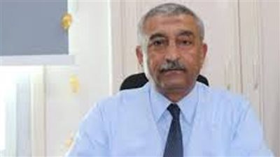 برنامج تدريبي لـ 491 معلمة رياض أطفال في محافظة الوادي الجديد