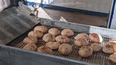  243 محضر مخالفات مخابز وأسواق بالمنوفية خلال يومين