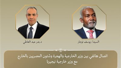 وزيرا خارجية مصر ونيجيريا يبحثان التطورات بالقارة الإفريقية