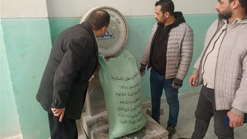 حملة التموين السكندري