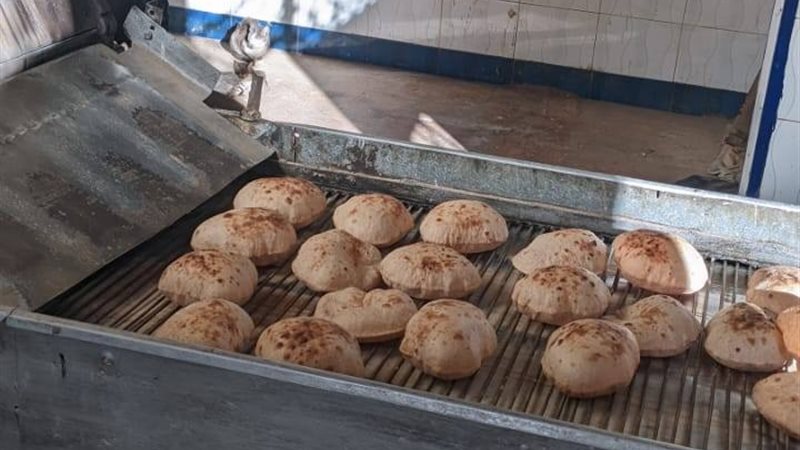 جانب من حملات التفتيش