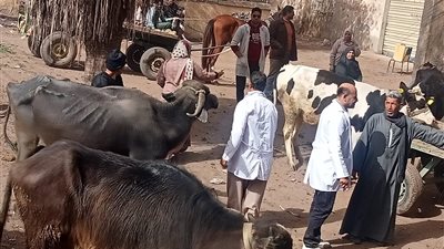  بالصور.. قافلة بيطرية تعالج 1706 طيور وماشية في 