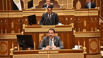 مجلس الشيوخ يناقش تنظيم استخدام الأطفال للمحمول